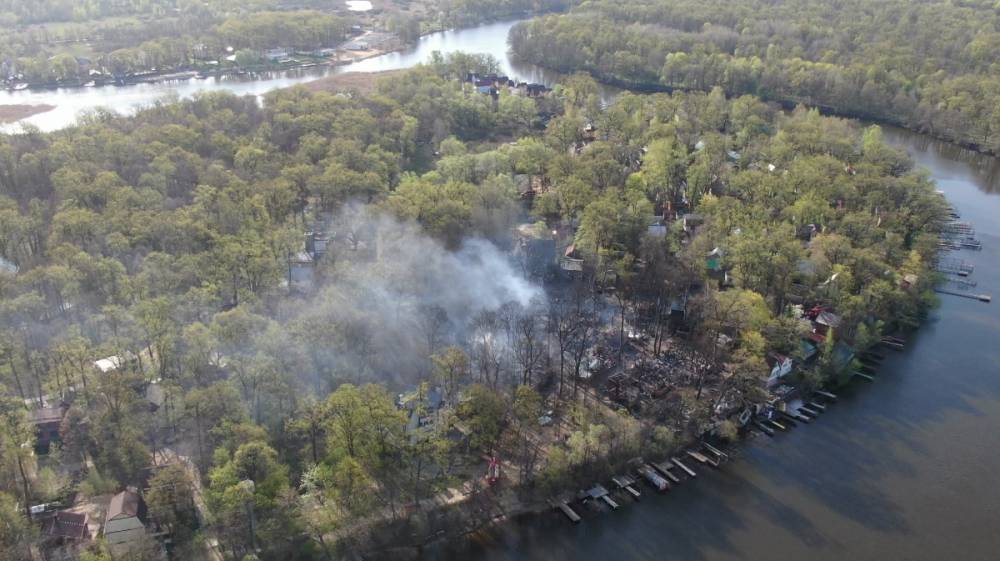 Причиной крупного пожара в рыбацком посёлке под Воронежем назвали поджог - vestivrn.ru - Воронеж - район Рамонский