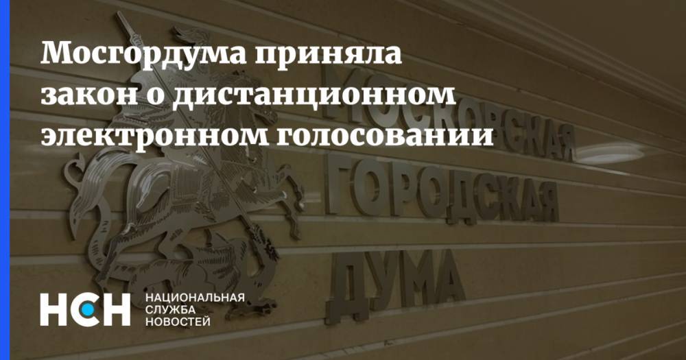 Лариса Картавцева - Мосгордума приняла закон о дистанционном электронном голосовании - nsn.fm - Москва