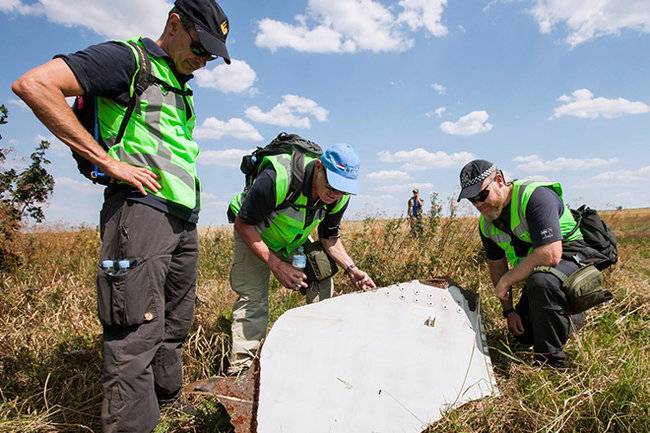 В деле о катастрофе MH17 появились новые подробности - infox.ru - Украина - ДНР - Голландия