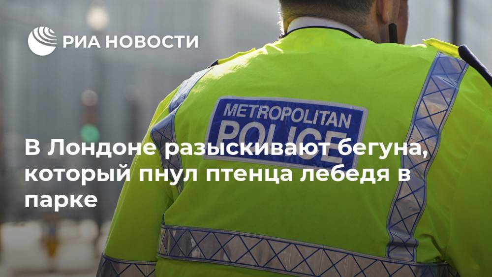 В Лондоне разыскивают бегуна, который пнул птенца лебедя в парке - ria.ru - Англия - Лондон