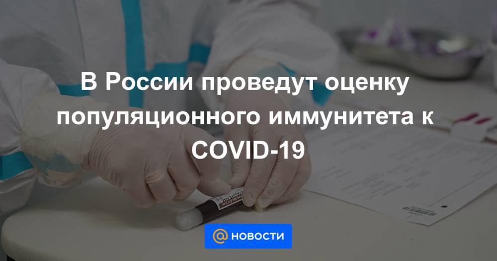 Анна Попова - В России проведут оценку популяционного иммунитета к COVID-19 - news.mail.ru - Россия - Санкт-Петербург - Тюмень - Хабаровский край