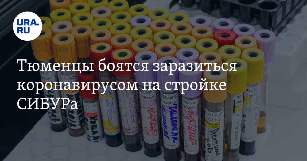 Тюменцы боятся заразиться коронавирусом на стройке СИБУРа. Власти отрицают вспышку инфекции - ura.news - Тюменская обл. - Амурская обл.
