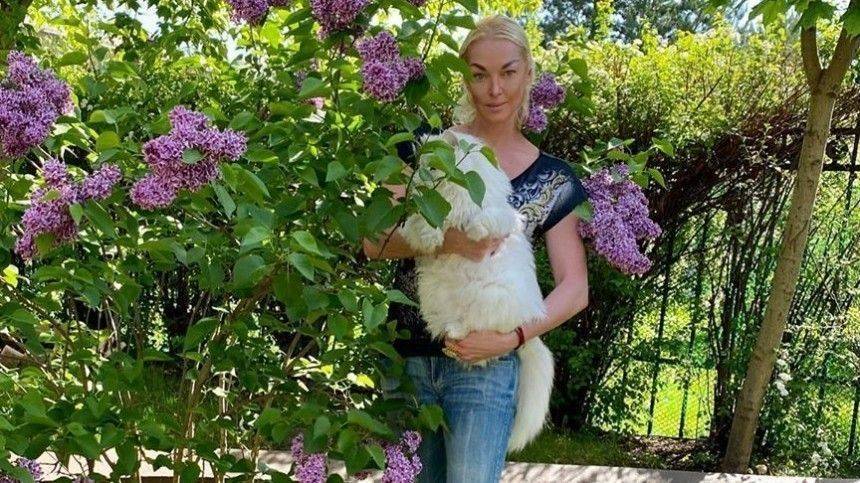 Анастасия Волочкова - «Веранда удачи»: Волочкова похвасталась новой стрижкой своего кота - 5-tv.ru - Санкт-Петербург