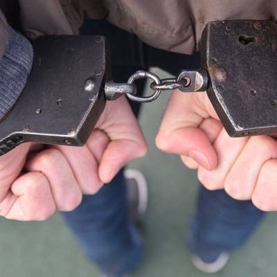 Задержан адвокат Гладилина в рамках дела о похищении сына адвоката Скрыпника - radiomayak.ru - Московская обл.