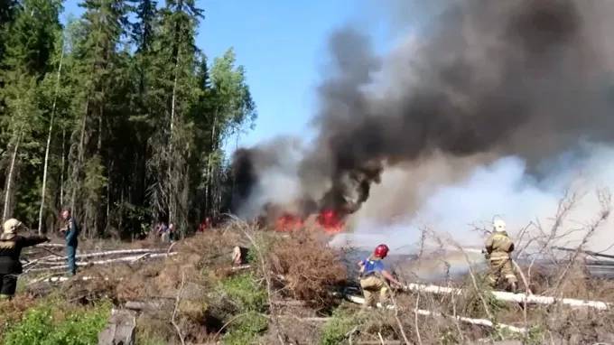 В Югорске ликвидировали лесной пожар - piter.tv - Россия - Югра - Югорск