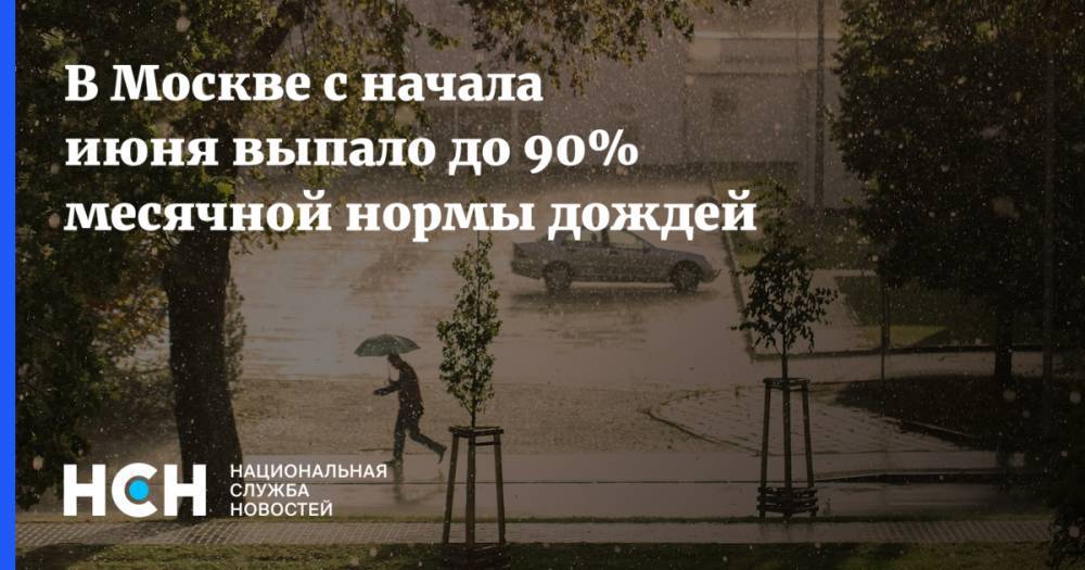 Татьяна Позднякова - Михаил Леус - В Москве с начала июня выпало до 90% месячной нормы дождей - nsn.fm - Москва - Россия
