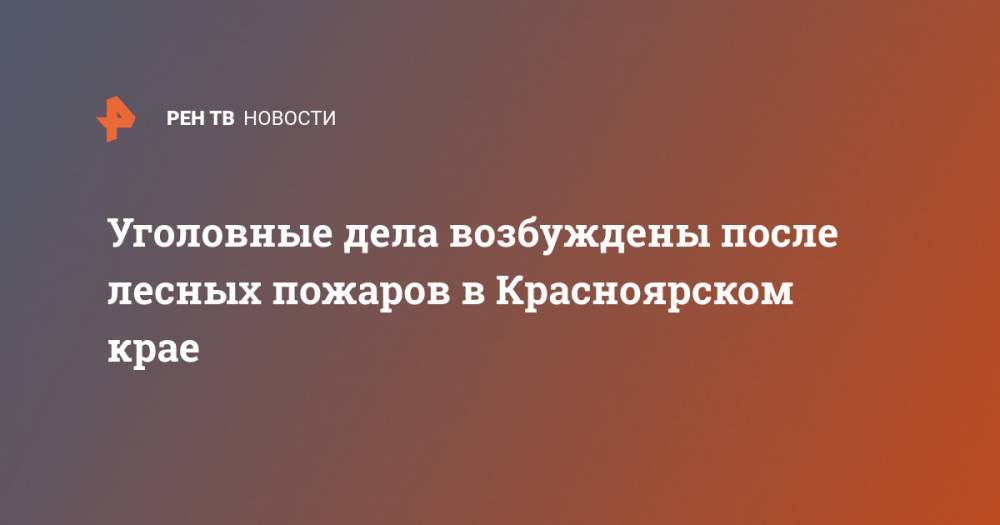 Ирина Волк - Уголовные дела возбуждены после лесных пожаров в Красноярском крае - ren.tv - Россия - Красноярский край