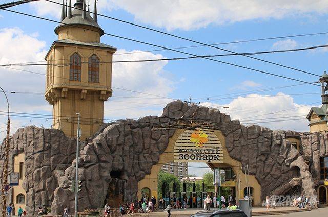 Московский зоопарк откроется 16 июня - aif.ru - Москва