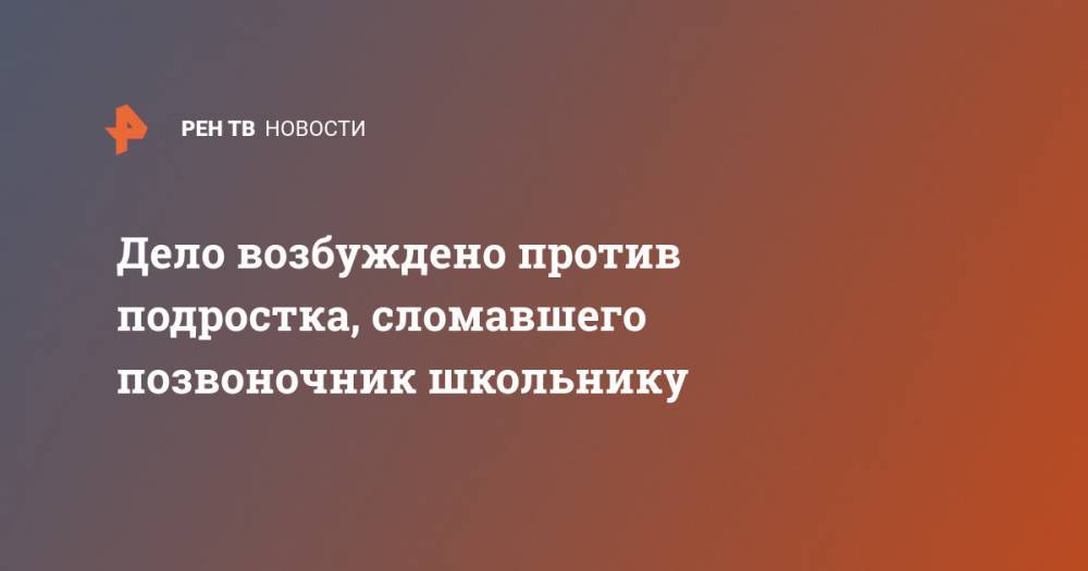Дело возбуждено против подростка, сломавшего позвоночник школьнику - ren.tv - Москва
