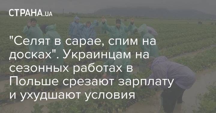 "Селят в сарае, спим на досках". Украинцам на сезонных работах в Польше срезают зарплату и ухудшают условия - strana.ua - Львов - Польша