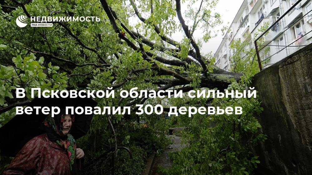 В Псковской области сильный ветер повалил 300 деревьев - realty.ria.ru - Москва - Псковская обл.