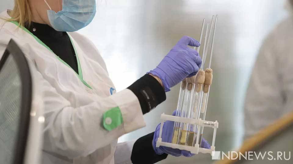 Суточная заболеваемость Covid-19 пошла вверх, а смертность снизилась - newdaynews.ru - Москва - Россия - Санкт-Петербург - Московская обл. - Нижегородская обл. - Свердловская обл.