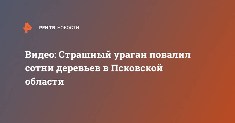 Михаил Ведерников - Видео: Страшный ураган повалил сотни деревьев в Псковской области - ren.tv - Псковская обл.