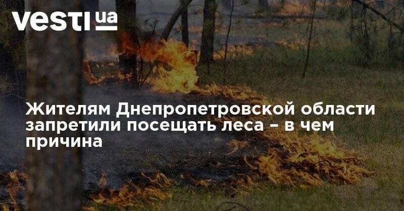 Жителям Днепропетровской области запретили посещать леса – в чем причина - vesti.ua - Днепропетровская обл. - Запрет