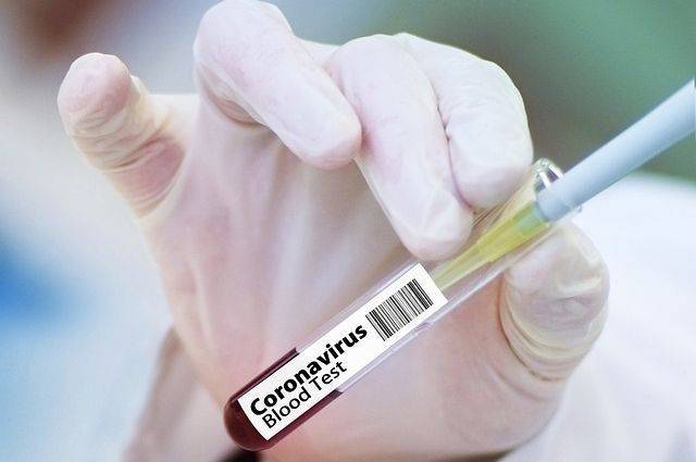 В России выявлено 8779 новых случаев заражения коронавирусом - aif.ru - Россия