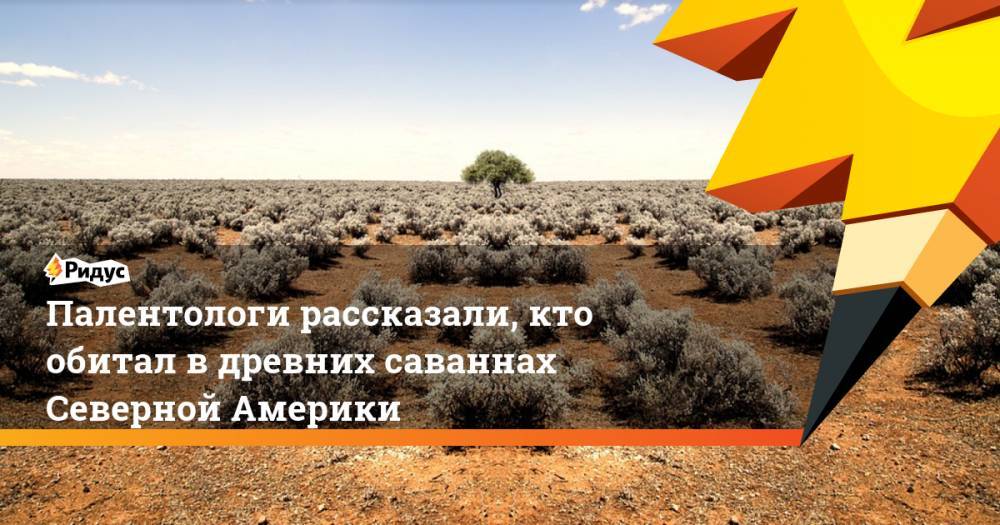 Палентологи рассказали, кто обитал в древних саваннах Северной Америки - ridus.ru - Хельсинки