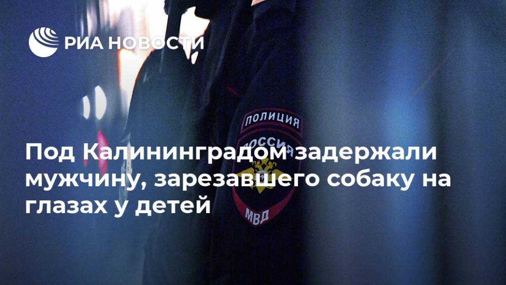 Светлана Поставничая - Под Калининградом задержали мужчину, зарезавшего собаку на глазах у детей - ria.ru - Россия - Калининград - Калининградская обл. - район Зеленоградский
