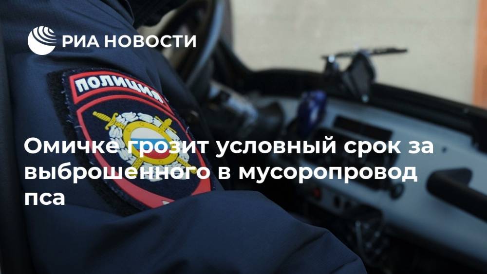 Омичке грозит условный срок за выброшенного в мусоропровод пса - ria.ru - Омск - Омская обл.