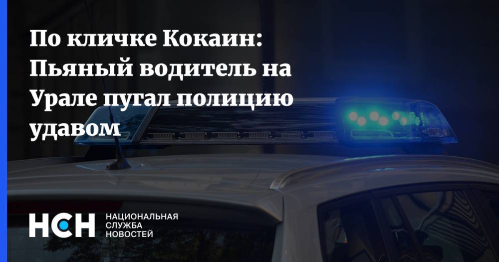 По кличке Кокаин: Пьяный водитель на Урале пугал полицию удавом - nsn.fm - Екатеринбург