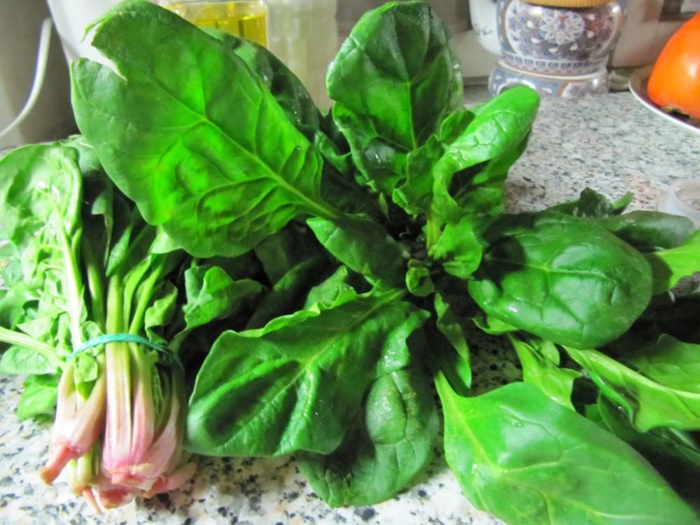 Названы сезонные продукты для улучшения работы мозга - golos.ua