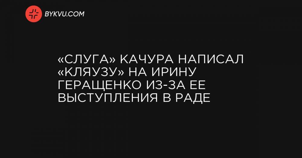 Владимир Зеленский - Ирина Геращенко - Маруся Зверобой - «Слуга» Качура написал «кляузу» на Ирину Геращенко из-за ее выступления в Раде - bykvu.com - Луганская обл.