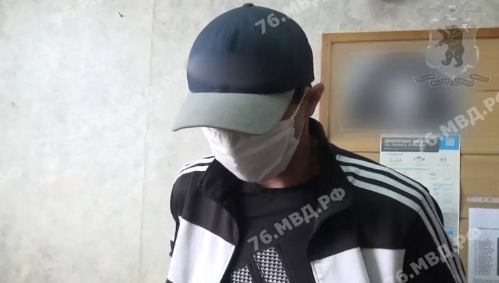Водитель, сбивший насмерть пенсионерку, явился в полицию с повинной - vesti.ru - Ярославль