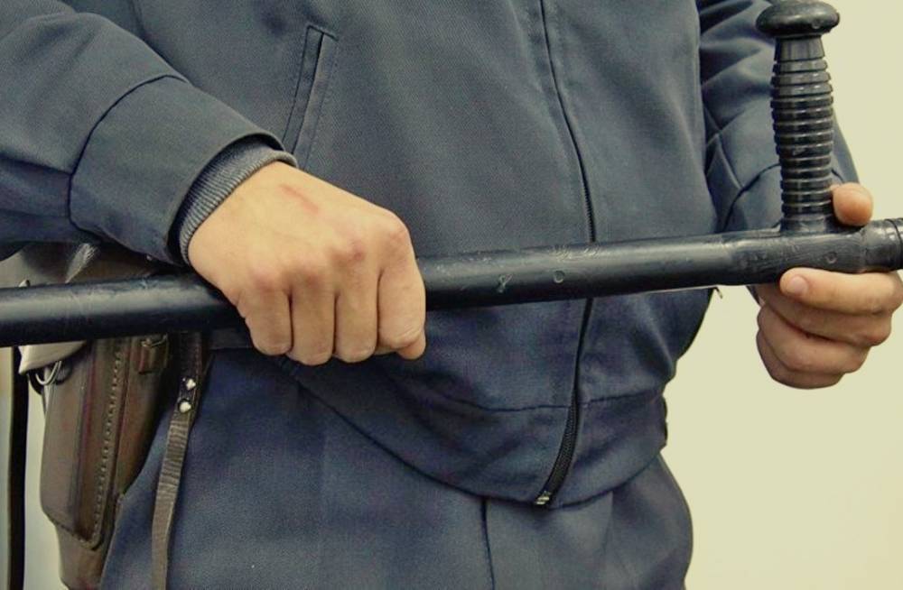 Автора пародии на вымышленного силовика привлекут к ответственности - newsland.com - Приморье край