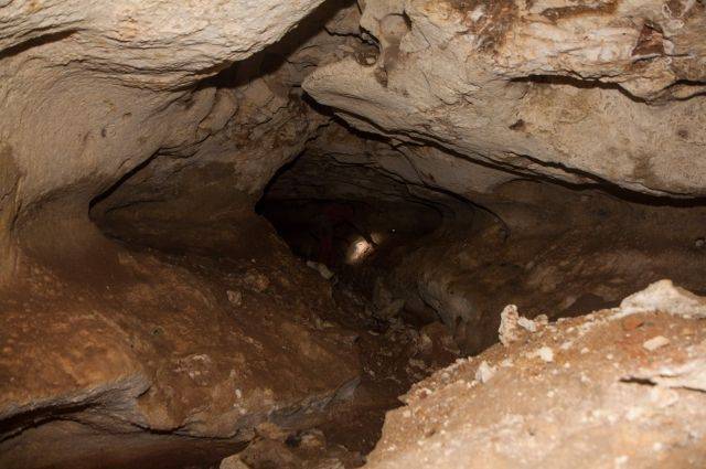 Геннадий Самохин - Исследователи обнаружили новые ходы и ярусы в пещере «Таврида» - aif.ru - Крым