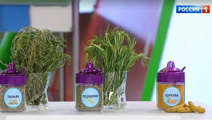 Доступные иммуномодуляторы: какие продукты помогают укрепить иммунитет - vesti.ru - Россия