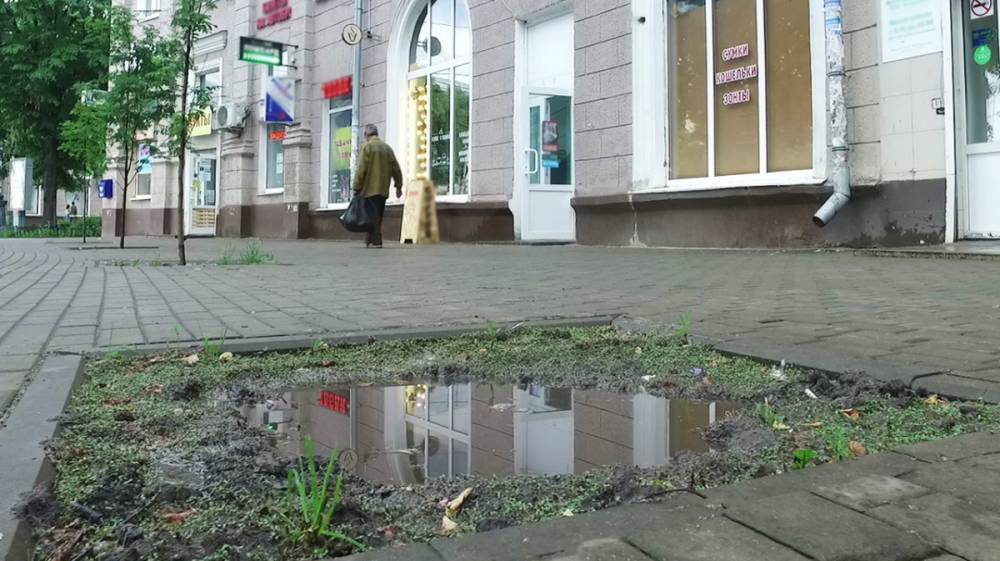 В центре Воронежа засохшие посреди тротуара деревья заменят новыми - vestivrn.ru - Воронеж