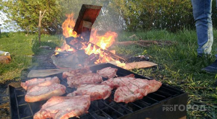В Чувашии ловят любителей шашлыков и наказывают штрафами - pg21.ru - Россия - респ. Чувашия