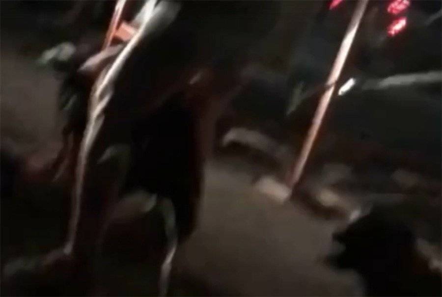 «Я вам жопу порву»: Жесткое убийство собаки в центре города предотвратила толпа ростовчан - privet-rostov.ru - Новочеркасск