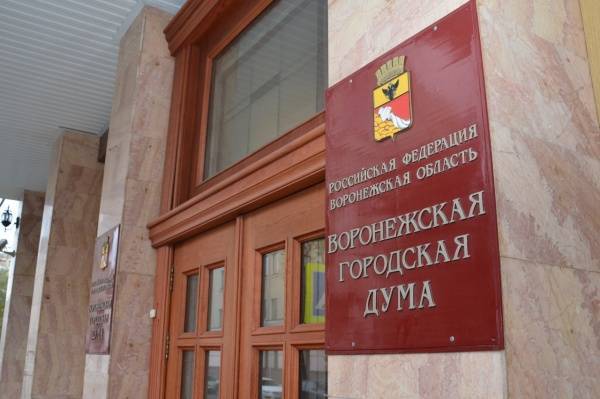 Когда помощь депутата - реальное дело. Как воронежские парламентарии помогают учиться дома, создавать комфорт в кризисном центре и решать вопросы благоустройства школ и садиков - nakanune.ru - Воронеж - Воронежская обл.