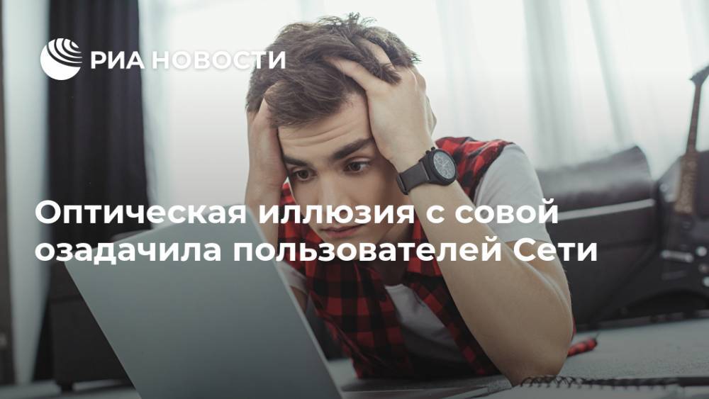 Оптическая иллюзия с совой озадачила пользователей Сети - ria.ru - Москва - Индия