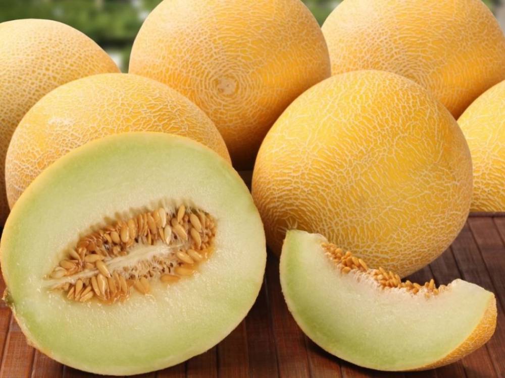 Что нужно есть летом: 6 самых полезных продуктов для красоты и похудения - golos.ua