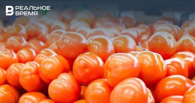 Вперед, на огород: что высадить в середине июня - realnoevremya.ru