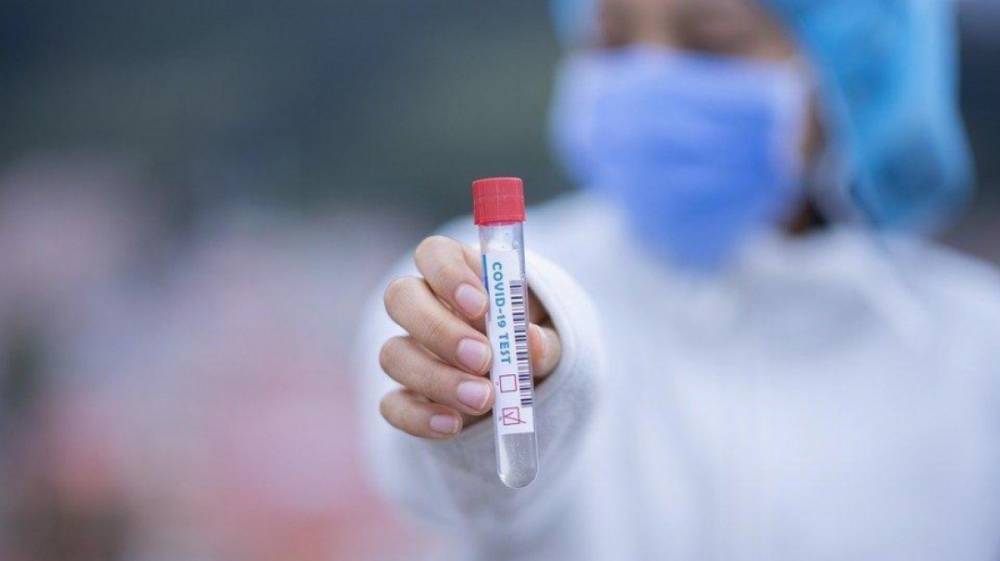 Александр Гусев - В Воронежской области назвали самую уязвимую перед коронавирусом категорию людей - vestivrn.ru - Воронежская обл.