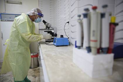 Александр Лукашевич - Россия засекла опасные эксперименты в лабораториях США на Украине и в Грузии - lenta.ru - Москва - Россия - США - Украина - Грузия