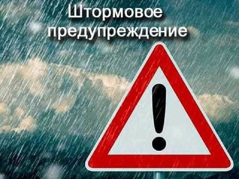 В Смоленской области объявлено штормовое предупреждение - rabochy-put.ru - Россия - Смоленская обл.