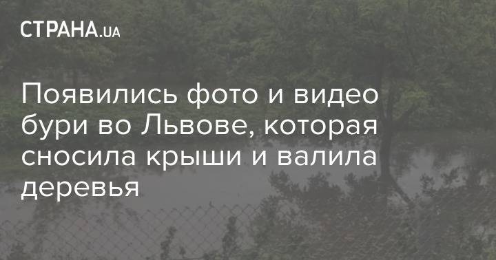 Появились фото и видео бури во Львове, которая сносила крыши и валила деревья - strana.ua - Львов