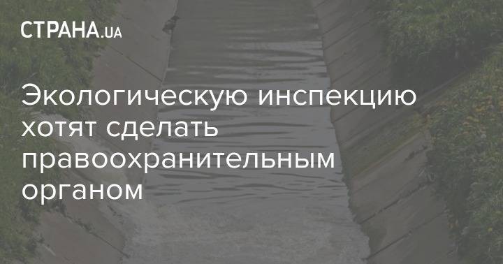 Экологическую инспекцию хотят сделать правоохранительным органом - strana.ua - Украина - Кабинет Министров