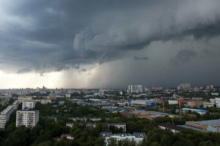 Россиянам предрекли «арктическое вторжение» после аномальной жары - smi24.news - Россия - Санкт-Петербург
