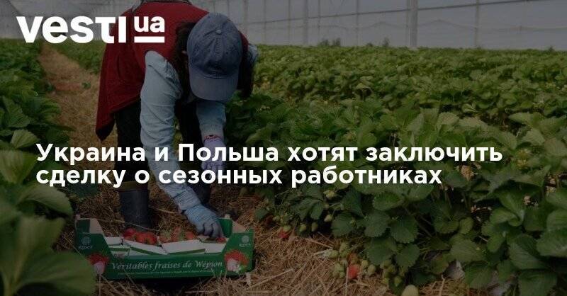 Бартош Цихоцкий - Украина и Польша хотят заключить сделку о сезонных работниках - vesti.ua - Украина - Польша - Посол