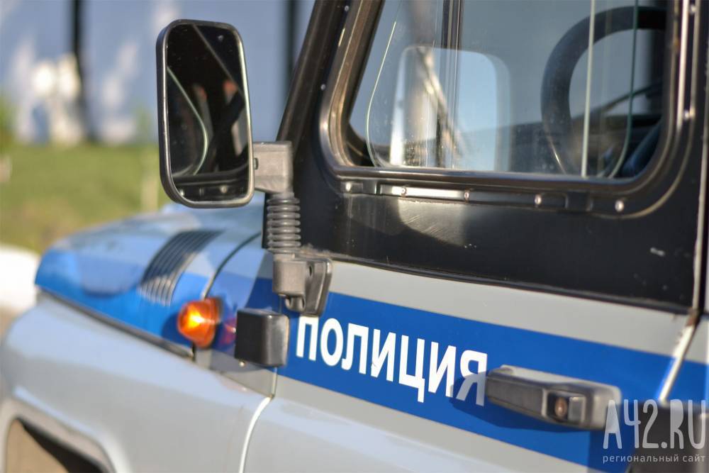 В полиции раскрыли подробности «похищения» девочки в Кемерове - gazeta.a42.ru - Россия - Кемеровская обл.