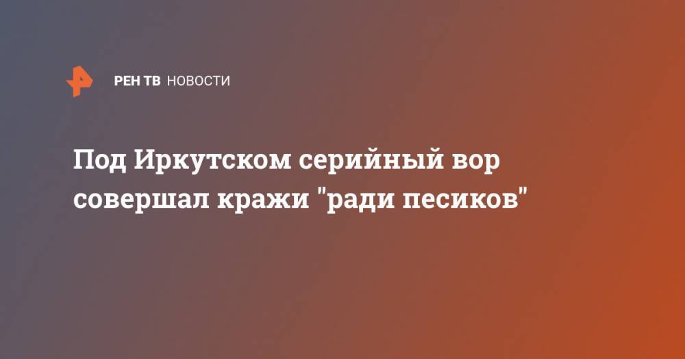 Под Иркутском серийный вор совершал кражи "ради песиков" - ren.tv - Иркутск