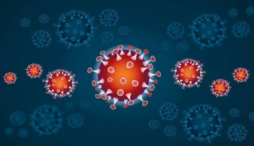 Майк Райан - ВОЗ опровергла информацию о снижении активности коронавируса - actualnews.org