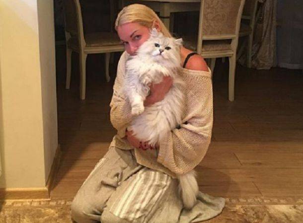 Анастасия Волочкова - Домочадец Анастасии Волочковой устроил драку посреди ночи - bimru.ru