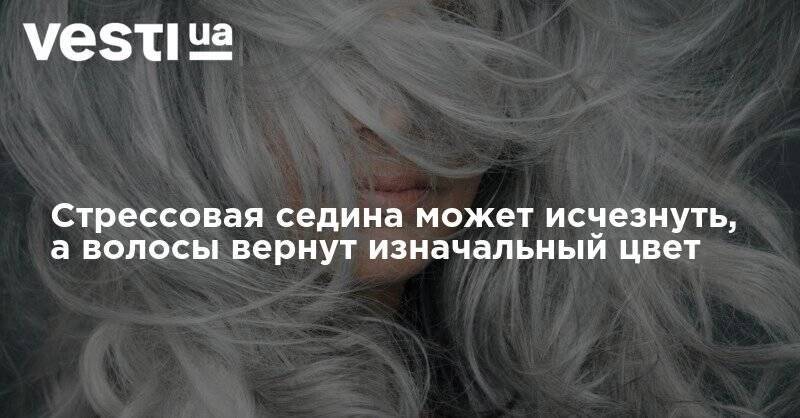 Стрессовая седина может исчезнуть, а волосы вернут изначальный цвет - vesti.ua - Колумбия