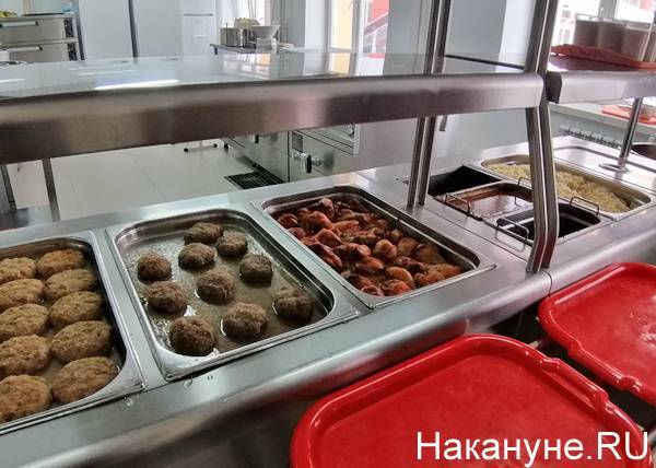 Субсидии на горячее питание школьников смогут получить регионы-доноры - nakanune.ru