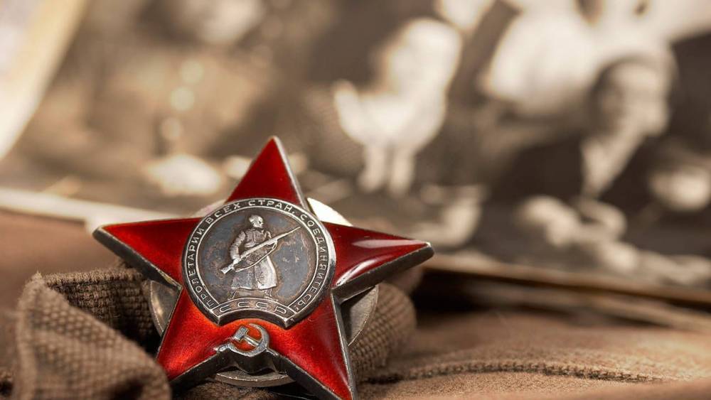Бессмертный полк Зеленодольска: создаем фотолетопись Героев вместе - zpravda.ru - Зеленодольск
